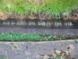 image of grave number 797426